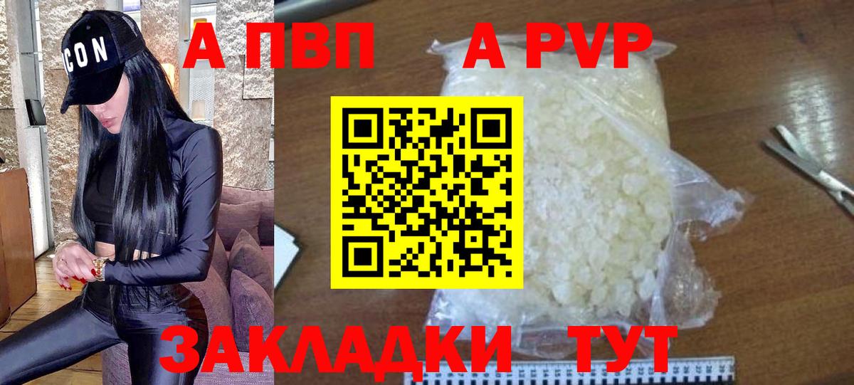 A PVP СК Горно-Алтайск