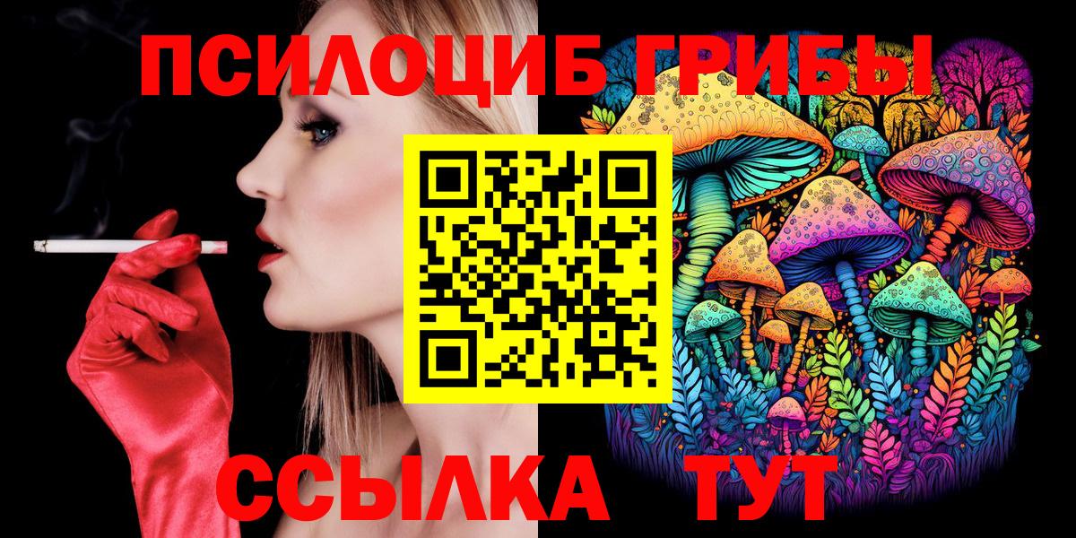Горно-Алтайск  Галлюциногенные грибы мицелий  Вход с VPN 