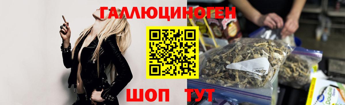 Псилоцибиновые грибы мицелий Горно-Алтайск